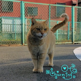 �j�����j�����j����