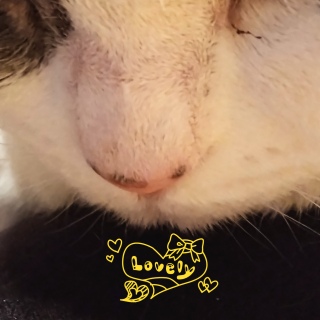 �}�Y��