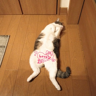 �L�����ɗ����Ă���G��