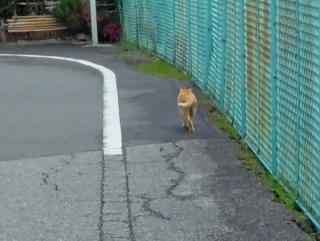 ���H���ăp���[�A�b�v